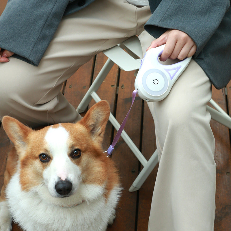 Coleira LumoPet – Conforto e Segurança para Seu Pet